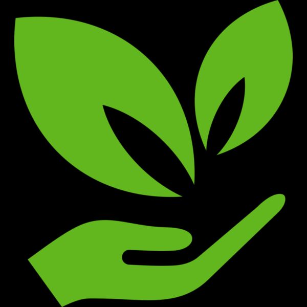 51 Leaves in hands Thumbnail