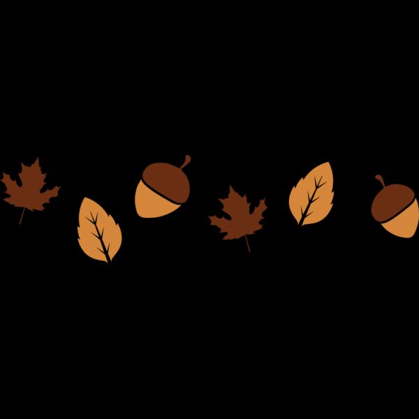 Thanksgiving fall season Thumbnail