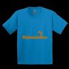 GILDAN® ULTRA COTTON® YOUTH T-SHIRT Thumbnail