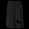 ATC™ PRO TEAM YOUTH SHORTS Thumbnail