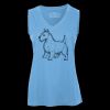 Pro Team Sleeveless V-Neck Ladies' Tee Thumbnail