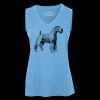 Pro Team Sleeveless V-Neck Ladies' Tee Thumbnail