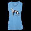 Pro Team Sleeveless V-Neck Ladies' Tee Thumbnail