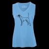 Pro Team Sleeveless V-Neck Ladies' Tee Thumbnail