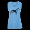 Pro Team Sleeveless V-Neck Ladies' Tee Thumbnail