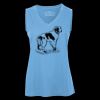 Pro Team Sleeveless V-Neck Ladies' Tee Thumbnail
