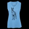 Pro Team Sleeveless V-Neck Ladies' Tee Thumbnail