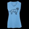 Pro Team Sleeveless V-Neck Ladies' Tee Thumbnail