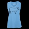Pro Team Sleeveless V-Neck Ladies' Tee Thumbnail