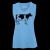 Pro Team Sleeveless V-Neck Ladies' Tee Thumbnail