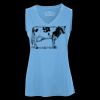 Pro Team Sleeveless V-Neck Ladies' Tee Thumbnail