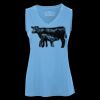 Pro Team Sleeveless V-Neck Ladies' Tee Thumbnail