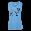 Pro Team Sleeveless V-Neck Ladies' Tee Thumbnail