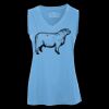Pro Team Sleeveless V-Neck Ladies' Tee Thumbnail