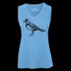 Pro Team Sleeveless V-Neck Ladies' Tee Thumbnail