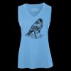 Pro Team Sleeveless V-Neck Ladies' Tee Thumbnail