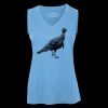 Pro Team Sleeveless V-Neck Ladies' Tee Thumbnail