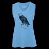 Pro Team Sleeveless V-Neck Ladies' Tee Thumbnail