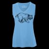 Pro Team Sleeveless V-Neck Ladies' Tee Thumbnail