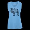 Pro Team Sleeveless V-Neck Ladies' Tee Thumbnail