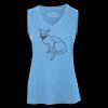 Pro Team Sleeveless V-Neck Ladies' Tee Thumbnail