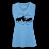 Pro Team Sleeveless V-Neck Ladies' Tee Thumbnail
