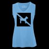 Pro Team Sleeveless V-Neck Ladies' Tee Thumbnail