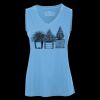 Pro Team Sleeveless V-Neck Ladies' Tee Thumbnail
