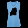 Pro Team Sleeveless V-Neck Ladies' Tee Thumbnail