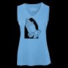 Pro Team Sleeveless V-Neck Ladies' Tee Thumbnail