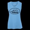 Pro Team Sleeveless V-Neck Ladies' Tee Thumbnail