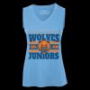 Pro Team Sleeveless V-Neck Ladies' Tee Thumbnail