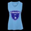 Pro Team Sleeveless V-Neck Ladies' Tee Thumbnail