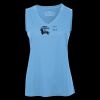 Pro Team Sleeveless V-Neck Ladies' Tee Thumbnail