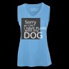 Pro Team Sleeveless V-Neck Ladies' Tee Thumbnail