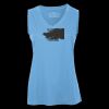 Pro Team Sleeveless V-Neck Ladies' Tee Thumbnail