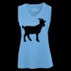 Pro Team Sleeveless V-Neck Ladies' Tee Thumbnail