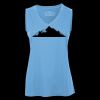Pro Team Sleeveless V-Neck Ladies' Tee Thumbnail