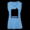 Pro Team Sleeveless V-Neck Ladies' Tee Thumbnail