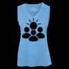 Pro Team Sleeveless V-Neck Ladies' Tee Thumbnail