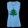 Pro Team Sleeveless V-Neck Ladies' Tee Thumbnail