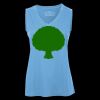Pro Team Sleeveless V-Neck Ladies' Tee Thumbnail